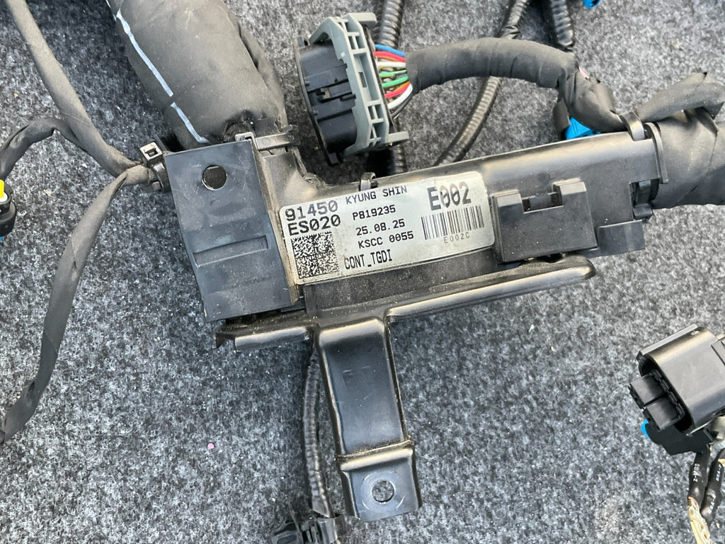 2025-2026 Kia Carnival Hybrid Engine Wiring Harness Assembly 91450-ES020