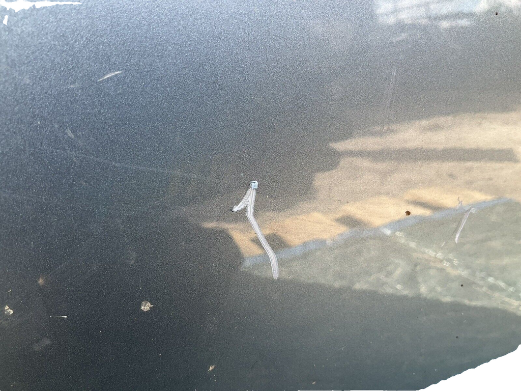 14 21 Infiniti q50 rear driver door assy blue h210a4gama oem